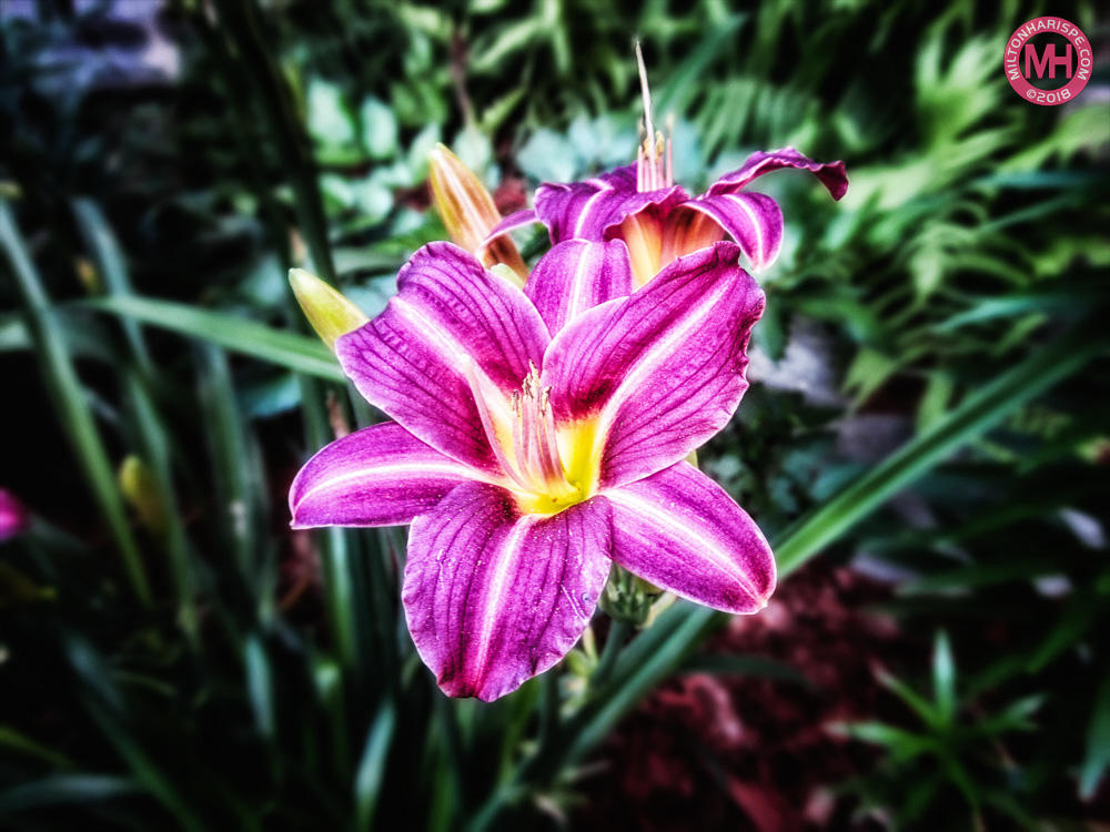 IMG_0059 copy-Edit.jpg